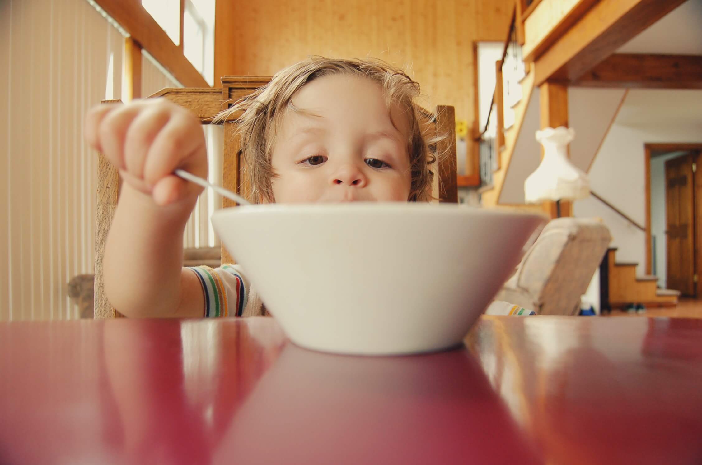 Alimentación infantil a partir de los 2 años